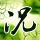 名人面对面
